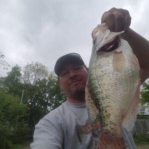 Meet your Posher, Charles